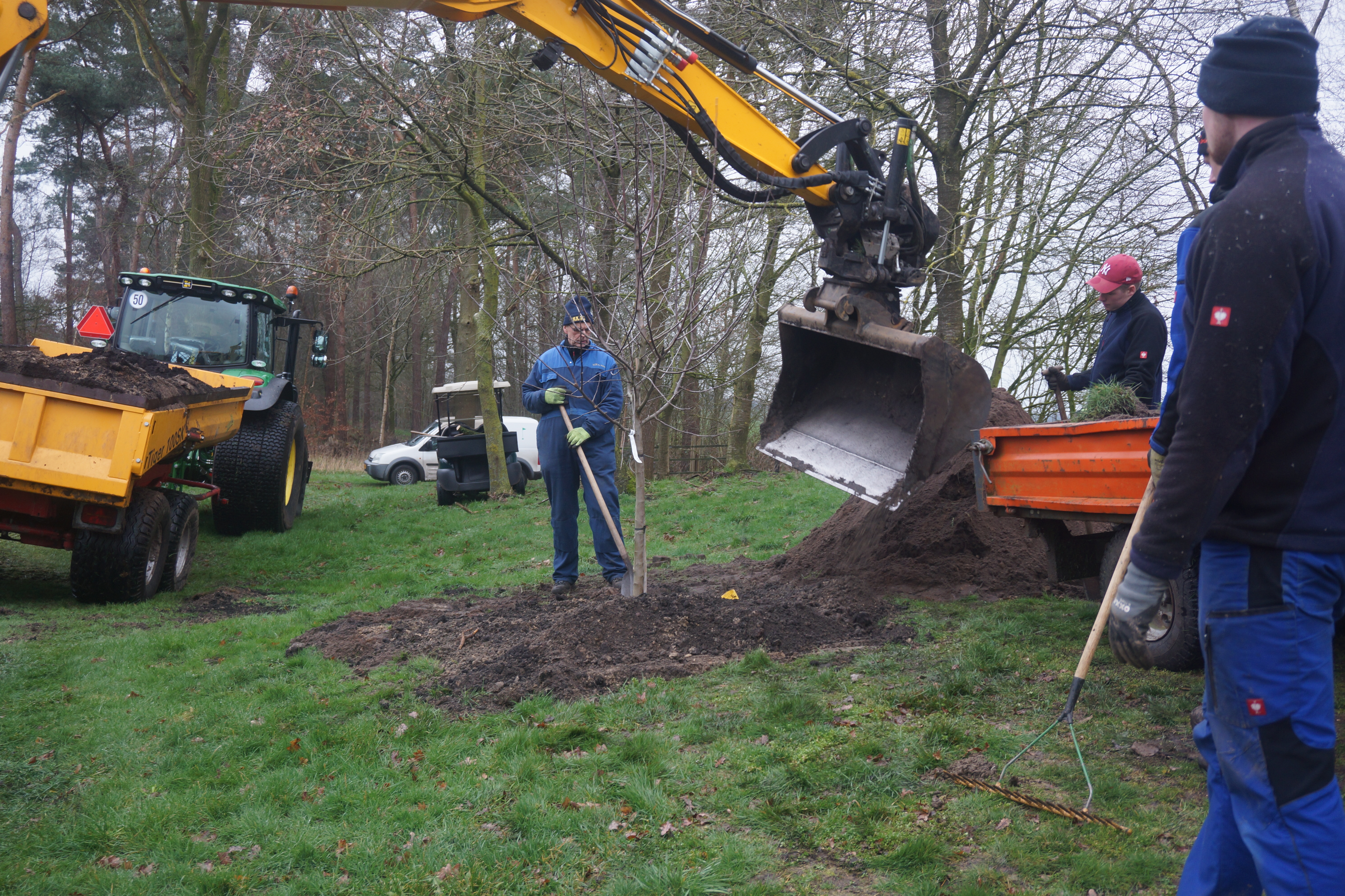 Prominente bomen vervangen