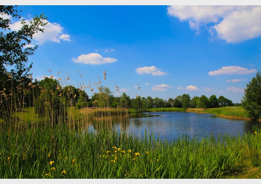 We mogen weer golfen!