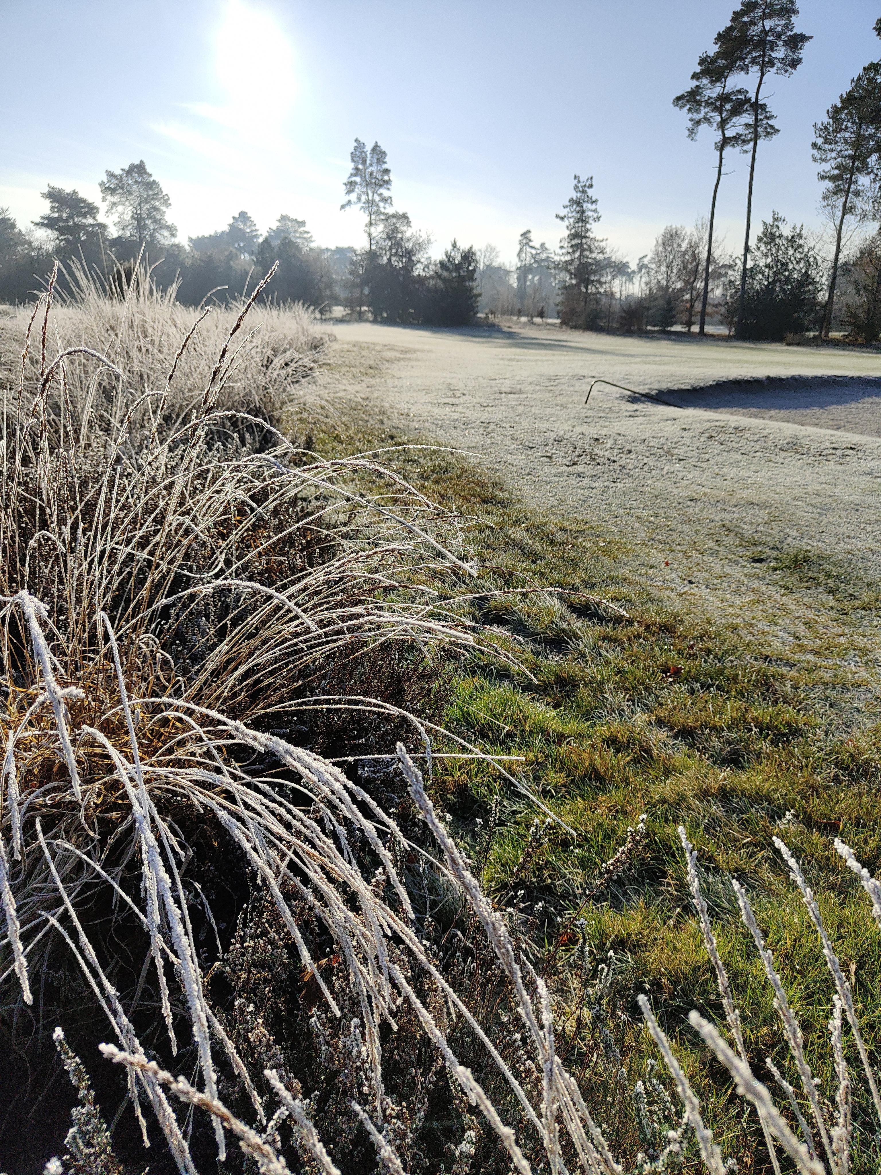 Winters weer op Hooge Graven!