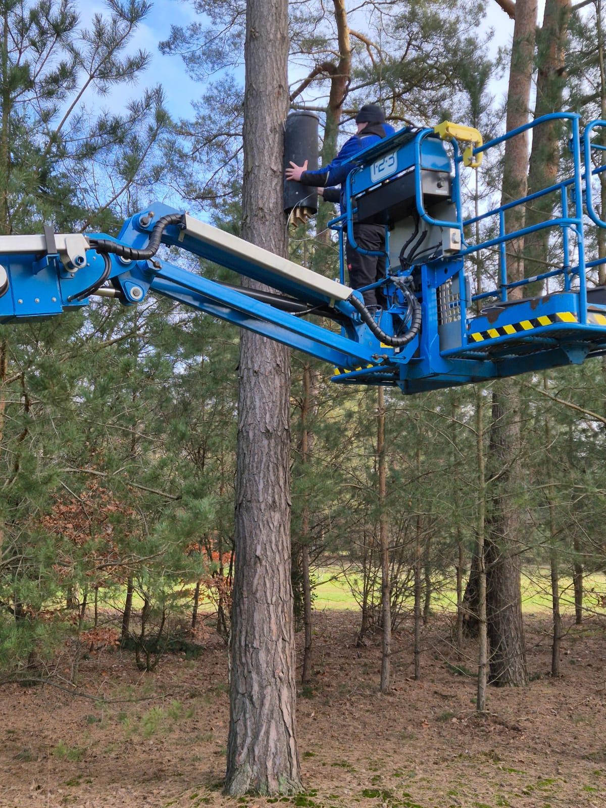 Snoeiwerk en Vleermuiskasten op de Baan